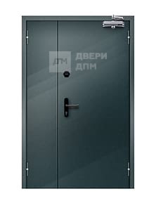 Противопожарная дверь полуторная ДПМ-02 EIS глухая взломостойкая